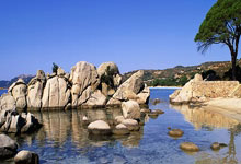 关于体操赛场再起风云：齐鲁青龙队险胜江汉火狐队，赛场气氛火爆更衣室氛围正向的信息